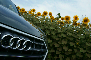 Новый Audi Q5 © Фото Евгения Мельченко, Юга.ру