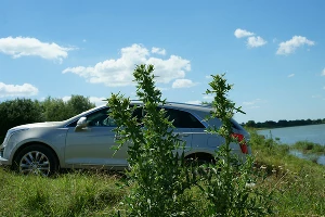 Cadillac XT5. Не Escalade, но ростом вышел &copy;&nbsp;Фото Евгения Мельченко, Юга.ру