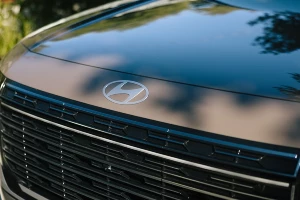 Hyundai Palisade &copy;&nbsp;Фото Hyundai