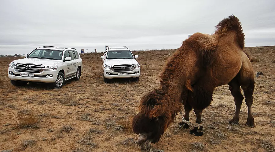 Тест-драйв нового Toyota Land Cruiser 200. В чем соль, брат &copy;&nbsp;Фото ЮГА.ру