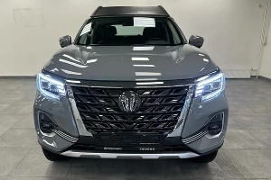 Palasso   &copy;&nbsp;Источник иллюстрации - auto.ru