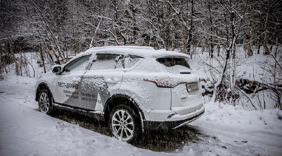 Toyota RAV4 © Фото Евгения Мельченко, Юга.ру