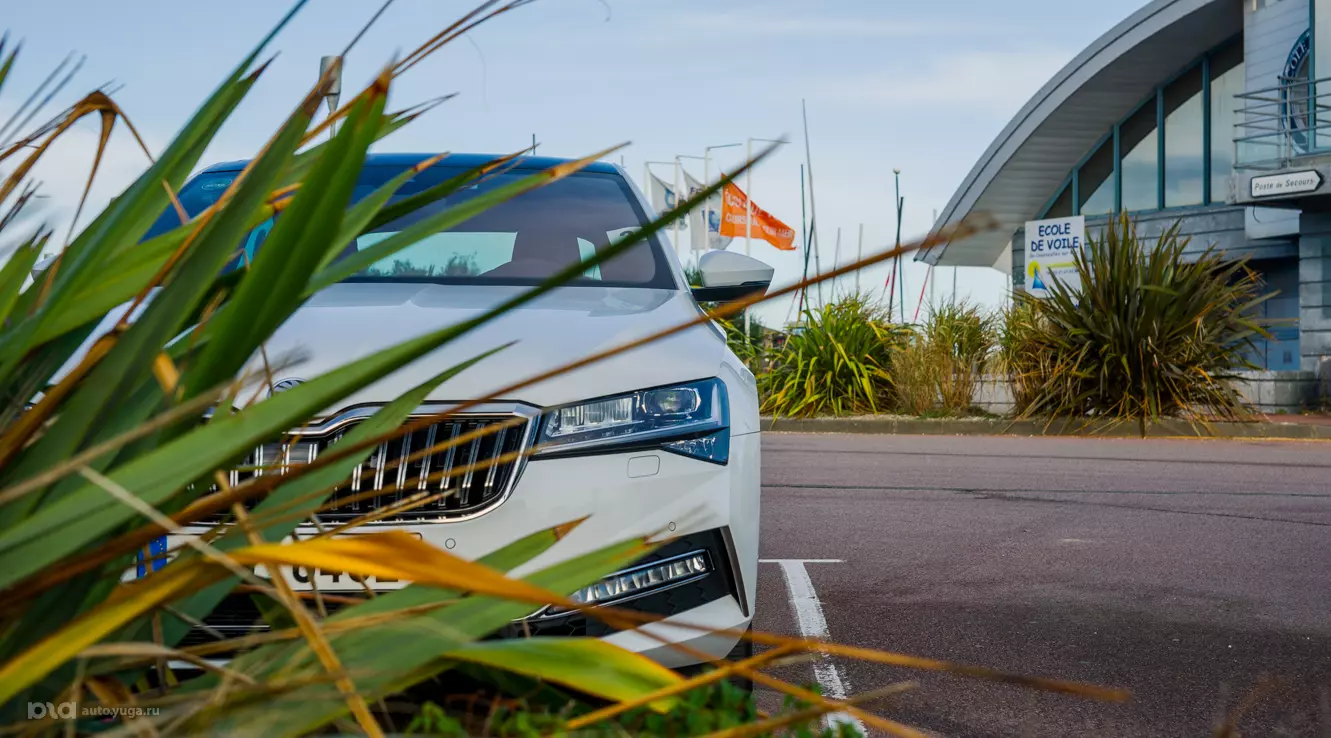 Обновленный Skoda Superb 2020 модельного года © Фото Евгения Мельченко, Юга.ру Обновленный Skoda Superb 2020 модельного года