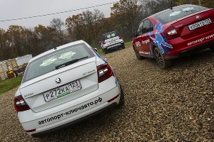 Skoda попала #точновяблочко &copy;&nbsp;Фото Евгения Мельченко, Юга.ру