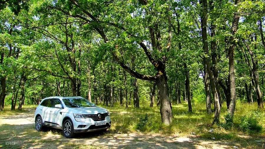 Новый Renault Koleos