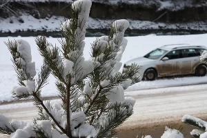 Skoda Octavia Combi. Бэксайд &copy;&nbsp;Фото ЮГА.ру