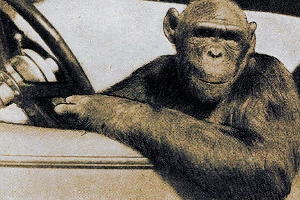 Пробки 01 &copy;&nbsp;Фото ЮГА.ру