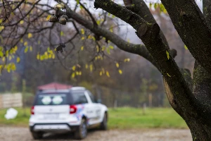Skoda попала #точновяблочко &copy;&nbsp;Фото Евгения Мельченко, Юга.ру