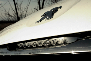 Автомобили Peugeot © Фото Евгения Мельченко, Юга.ру