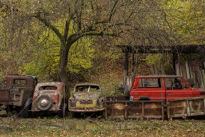 По дороге можно встретить и такое &copy;&nbsp;Фото Евгения Мельченко, Юга.ру