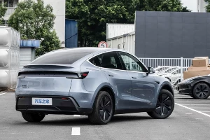 Tesla Model Y  &copy;&nbsp;Фото ЮГА.ру