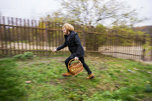 Skoda попала #точновяблочко © Фото Евгения Мельченко, Юга.ру