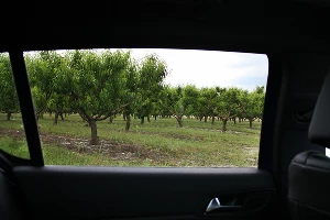 Peugeot 308 GT Line у скалы "Парус" &copy;&nbsp;Фото ЮГА.ру