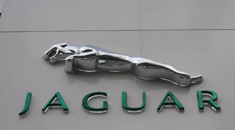 Jaguar КЛЮЧАВТО &copy;&nbsp;Фото ЮГА.ру