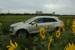 Cadillac XT5. Не Escalade, но ростом вышел © Фото Евгения Мельченко, Юга.ру