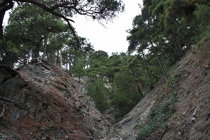 Peugeot 308 GT Line у скалы "Парус" &copy;&nbsp;Фото ЮГА.ру